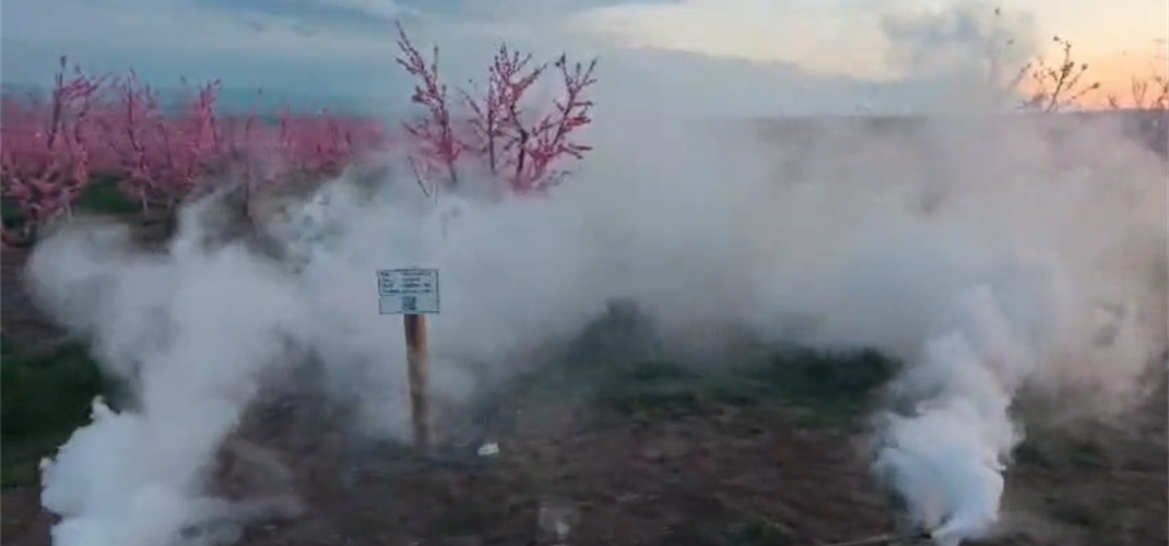 Zirai Dona Yönelik Mücadele Devam Ediyor: Sizde yapabilirsiniz!