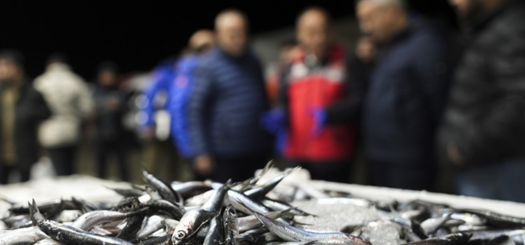 Ankara'da bu yıl 6 bin 161 su ürünleri denetimi yapıldı